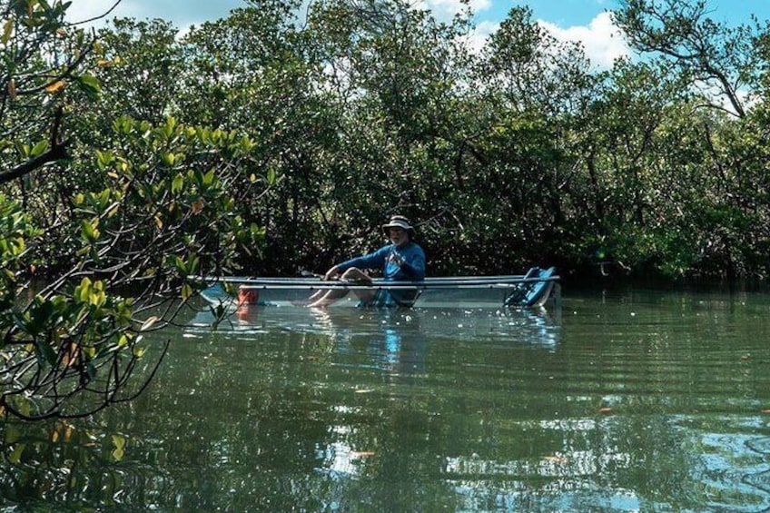 Clear Kayak Tours in Fort Pierce