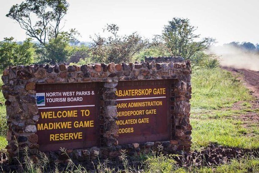 Show item 3 of 7. Madikwe Game Reserve Day Tour