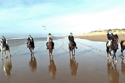 Horse riding on the beach of Essaouira 3 hours