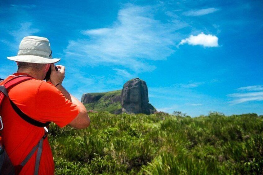 Tijuca Forest Half-Day Hike (Small Group or Private)