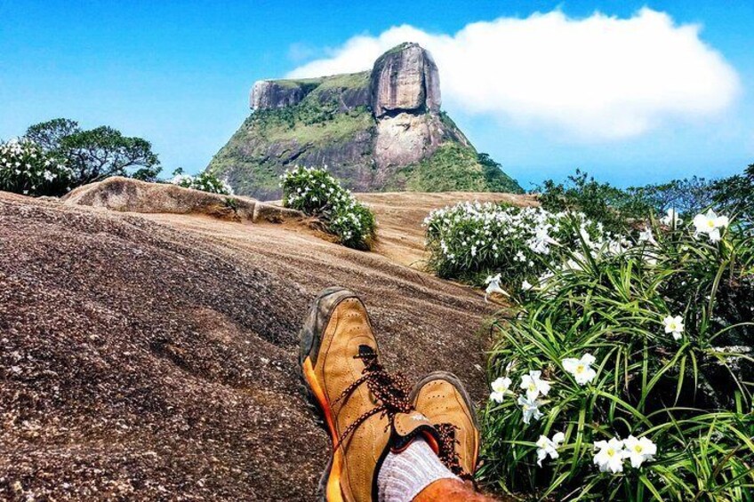 Tijuca Forest Half-Day Hike (Small Group or Private)