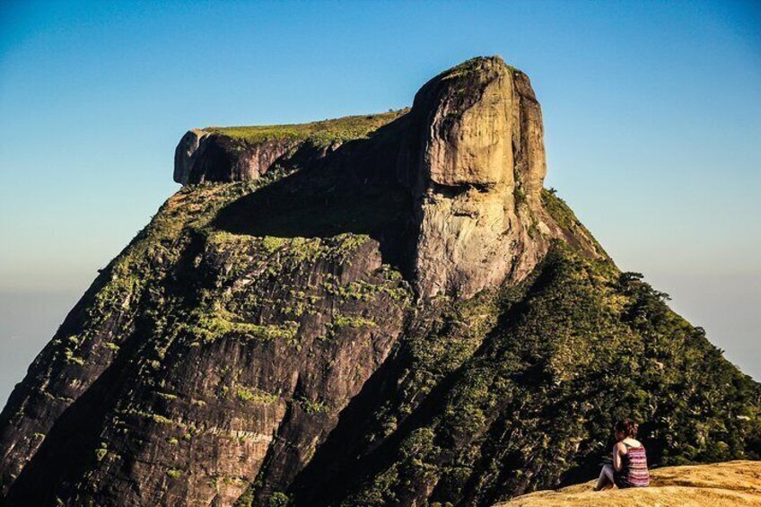 Tijuca Forest Half-Day Hike (Small Group or Private)