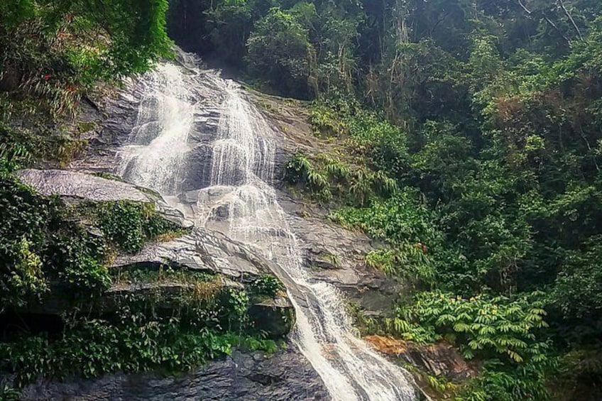 Tijuca Forest Adventure Full-Day Hike (Small-Group or Private)