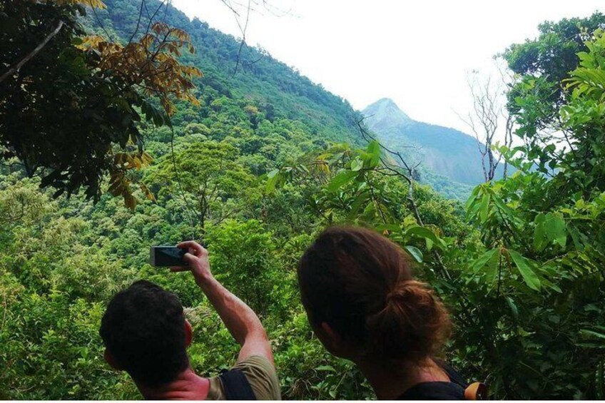 Tijuca Forest Adventure Full-Day Hike (Small-Group or Private)