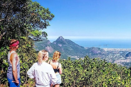 Tijuca Forest Challenge Full-Day Hike (Small-Group or Private)