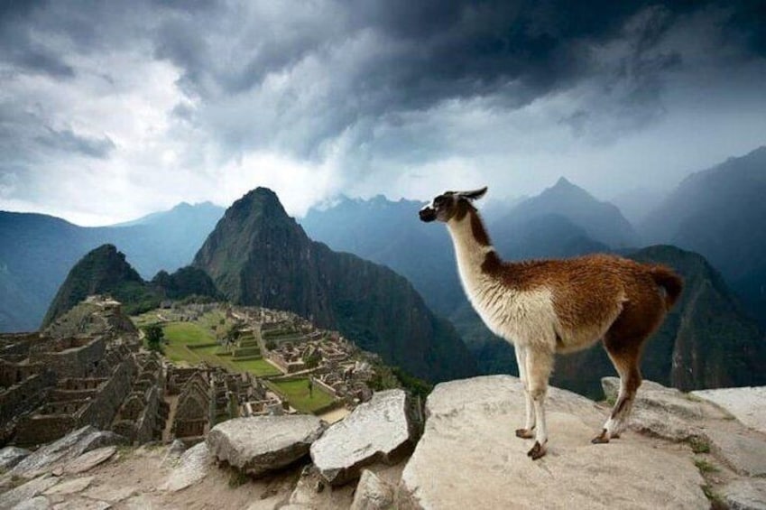 2 Day Short Inca Trail to Machu Picchu 