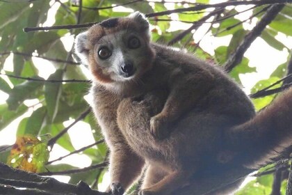 Unique discovery of the best part of Madagascar