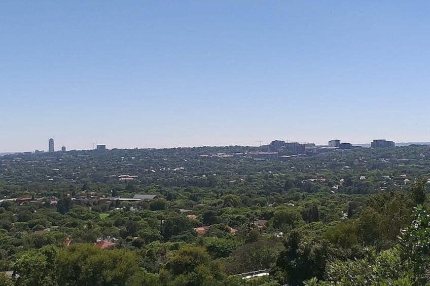 Melville koppies Hiking Johannesburg