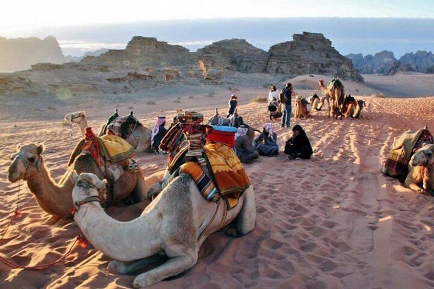 Shore Excursions To Petra & Wadi Rum