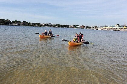 Uninhabited Island Kayaking Adventure