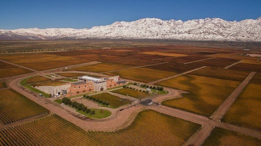 A day in “Clos de los Siete”:
