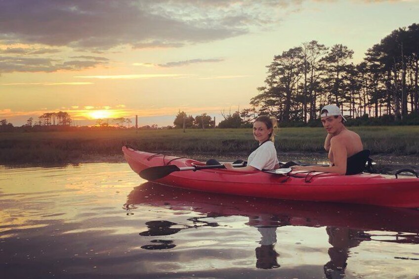 Guided Kayak Tour to see ponies, birds, dolphins and more