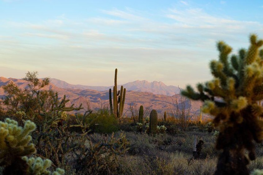 Show item 5 of 18. View of the Four Peaks during the nature presentation portion of the Sunset Desert Jeep Tour.