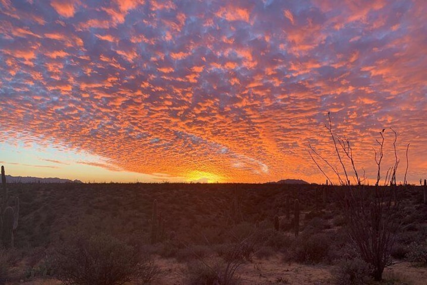 Experience a world-famous Arizona sunset from an open-air Jeep.