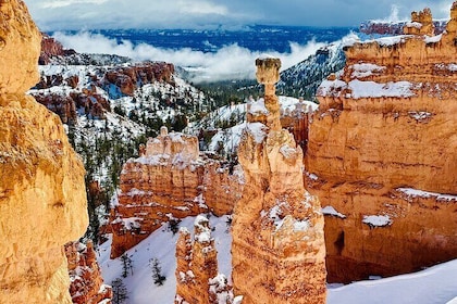 Bryce Canyon National Park: privé begeleide wandeling en picknick