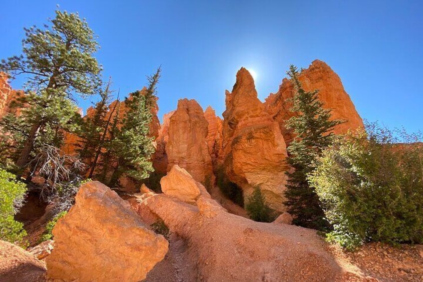 Private Guided Hike in Bryce Canyon National Park with Gourmet Picnic