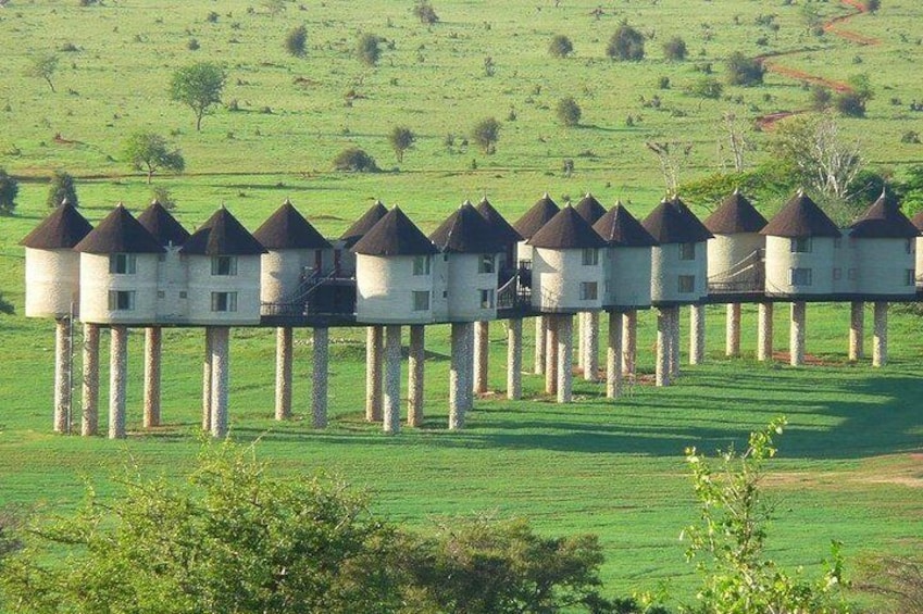 3 days safari Tsavo East and Taita hills (Saltlick lodge)