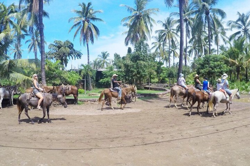 Horse Back Ride