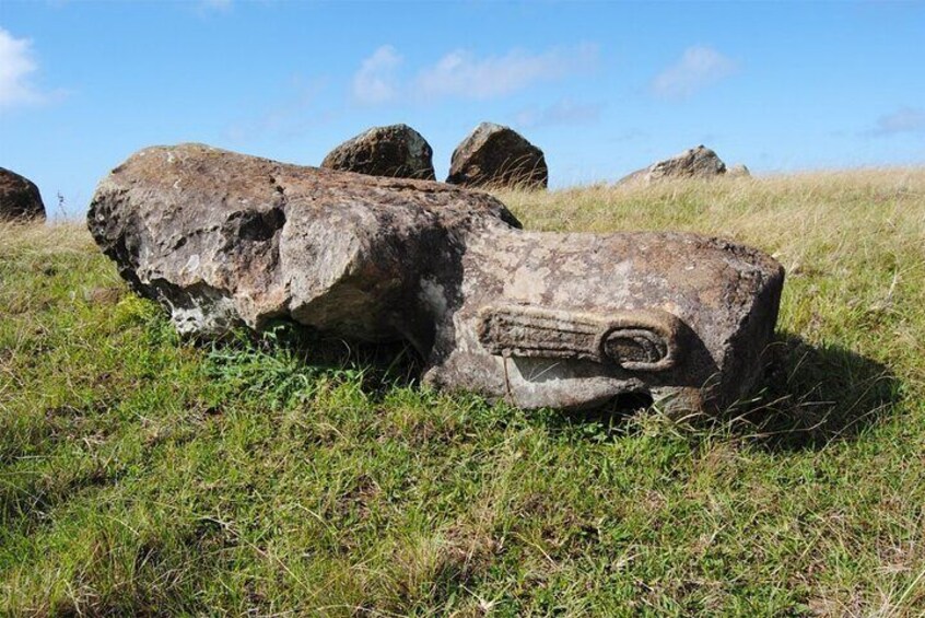 Some details are perfectly preserved thanks to the hardness of the trachyte rock