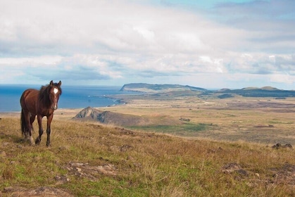 World's End: Private Easter Island hike to remove volcano Poike