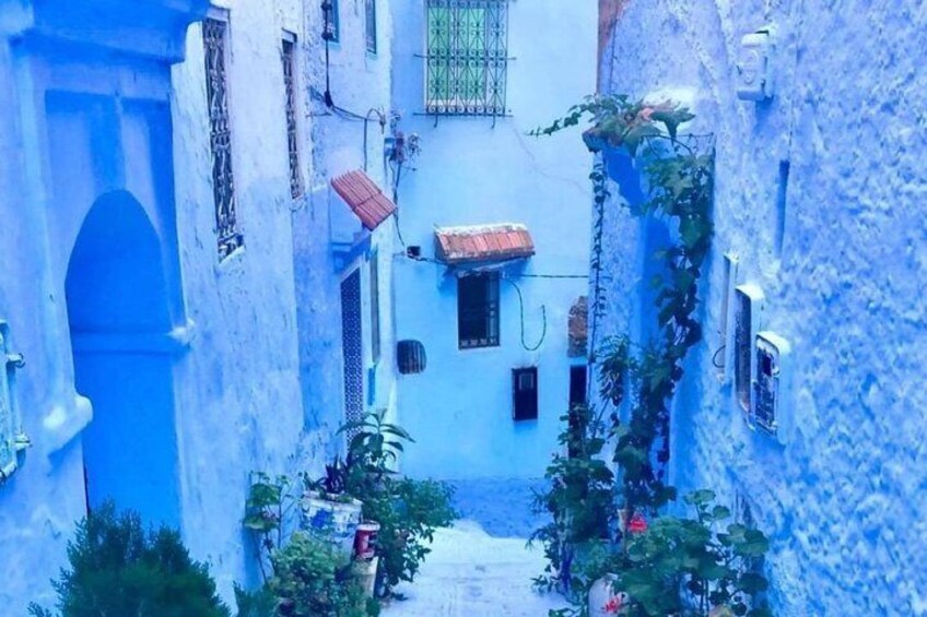 Private Trip to Chefchaouen