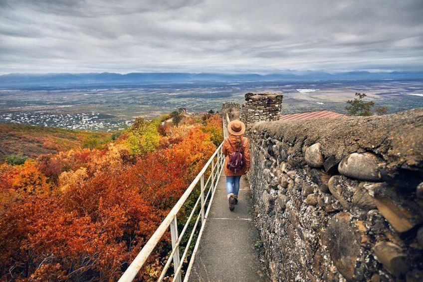 Kakheti wine region - Private Tour