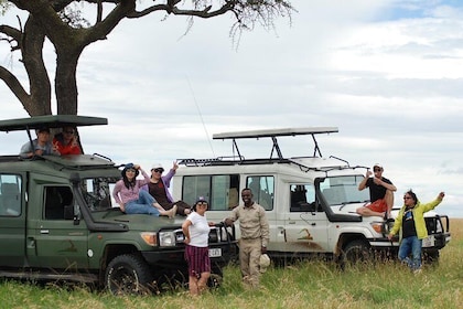 2 Day Serengeti Safari Experience from Mwanza