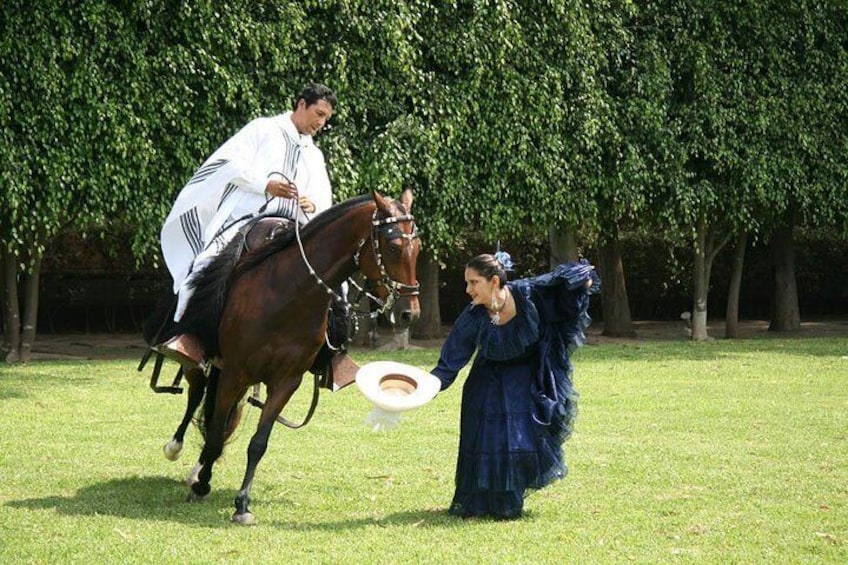 Peruvian Paso Horse Show with Lunch or Open Bar