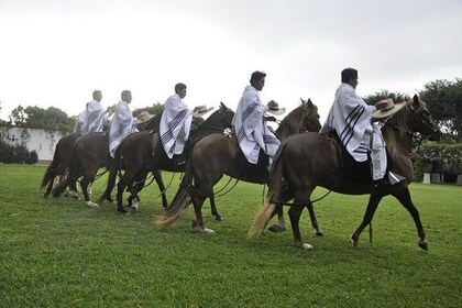 Lima: Premium Peruvian Horse Show with Lunch & Transfers