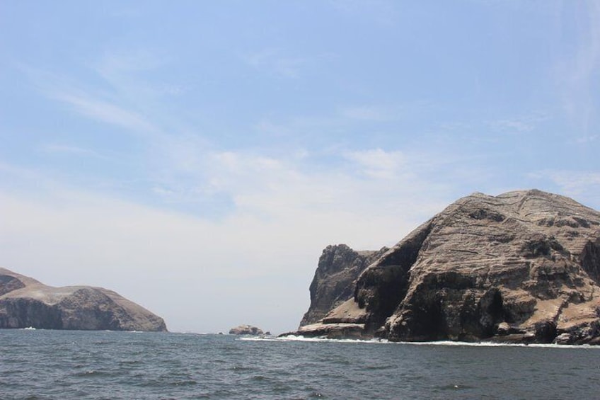 From Lima: Palomino Islands Cruise & Swimming with Sea Lions with Transfers