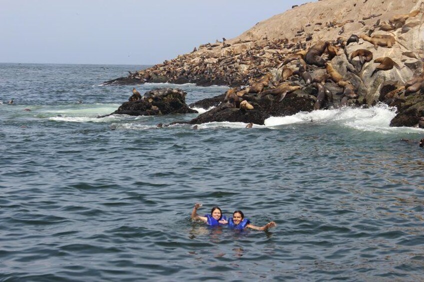 From Lima: Palomino Islands Cruise & Swimming with Sea Lions with Transfers