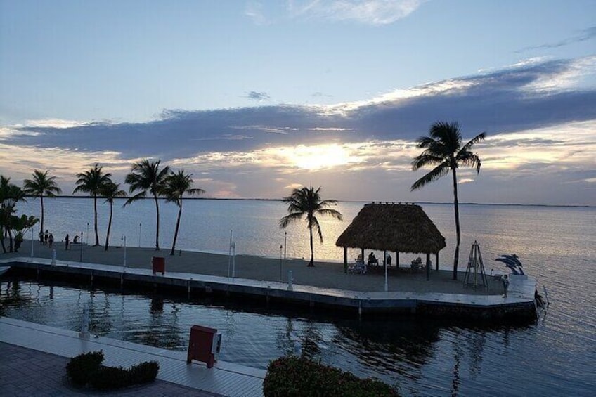 Show item 4 of 6. Half Day Snorkel Trip on Reefs in the Florida Keys