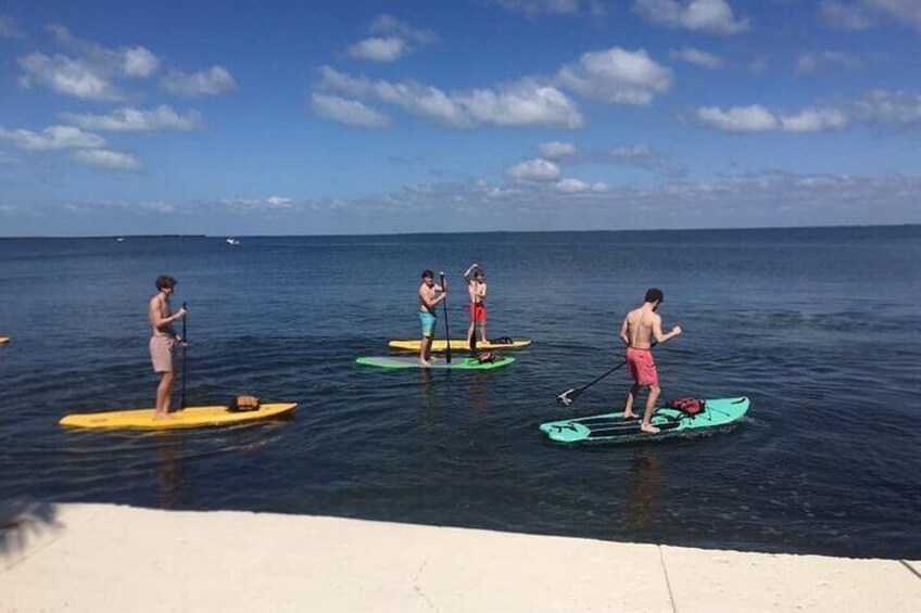 Key Largo 1 Hour Kayak or Paddle Board Rental