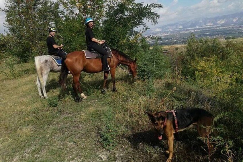 Horse riding on Vesuvius