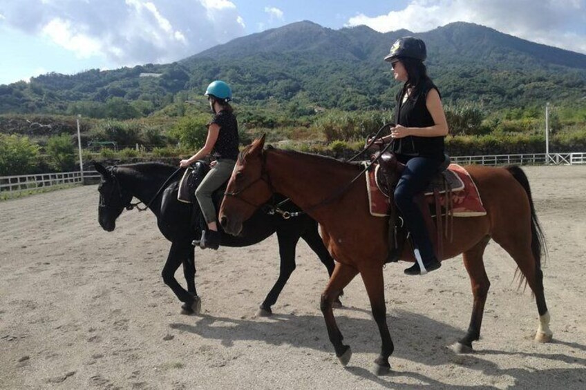 lesson in field before going for going out a horseback