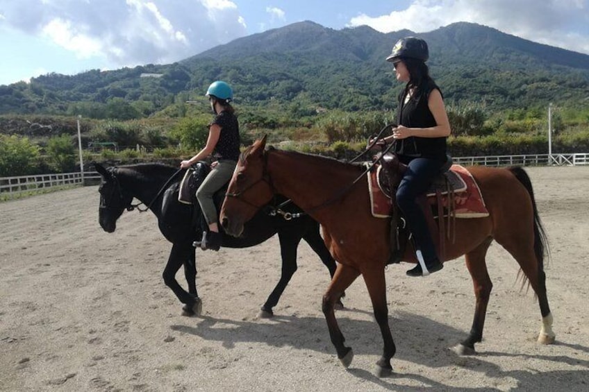 lesson in field before going for going out a horseback