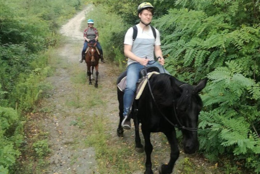 Horse riding on Vesuvius