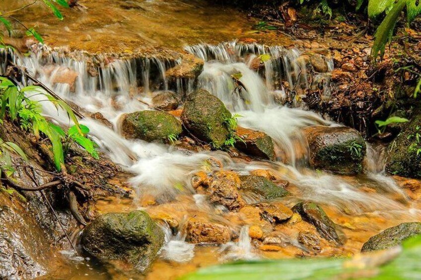 Panacam Day Tour from San Pedro Sula