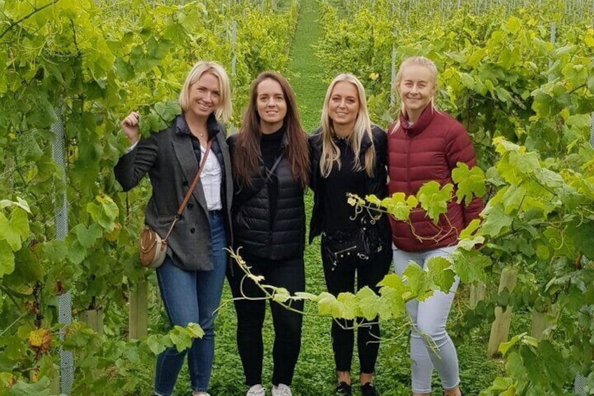 Owners vineyard tour and tasting at Oastbrook