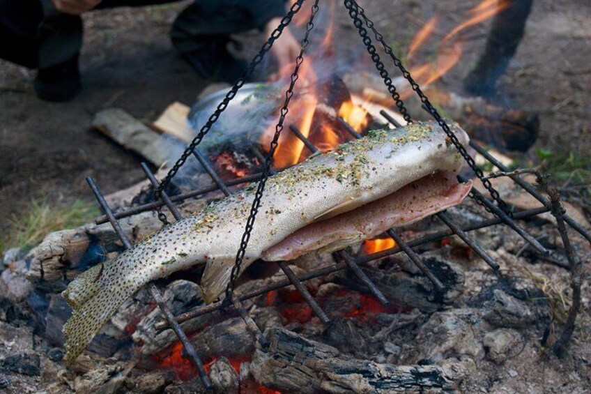 Food in survival situations