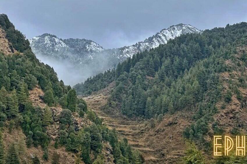 Top Tibba Trek - Mussoorie