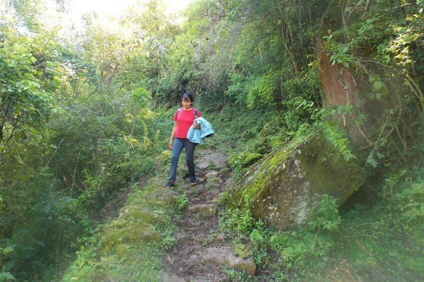 Trail in the Yungas