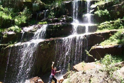 From Quebrada de Humahuaca to Yungas Jungle by the Qhapac Ñan