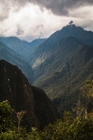 Machu Picchu Day Tour on Vistadome train with Lunch Included