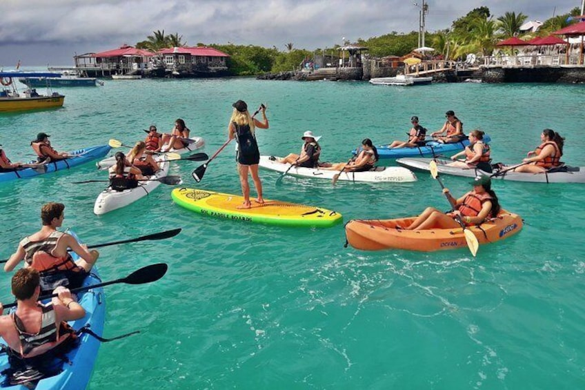 Kayak - Paddleboarding on Academy Bay