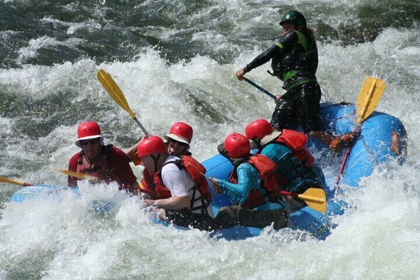 Whitewater Rafting Class II & III