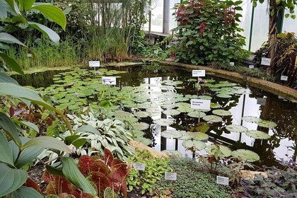 Liberec botaniske have indgangsbillet