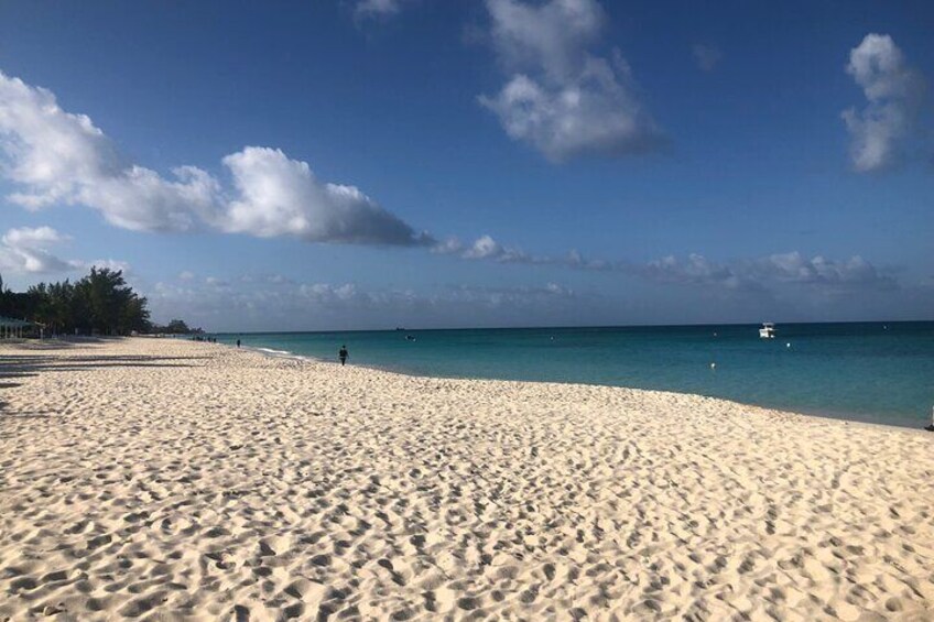 Private Swim Lesson or Triathlon Training on Seven Mile Beach!