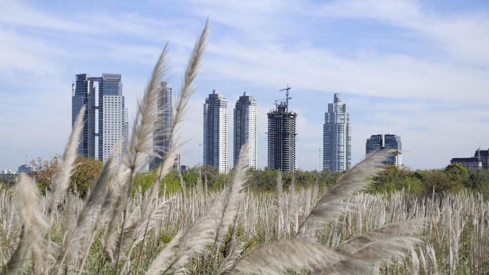 Beautiful view of the city in Buenos Aires 