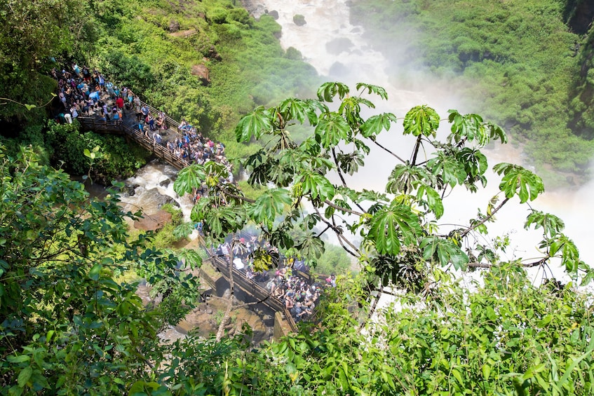 Iguazu Falls Tour on the Argentina Side